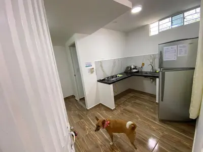 a dog standing in a room with a kitchen at Casa ISABELLA - Playa dormida in Santa Marta