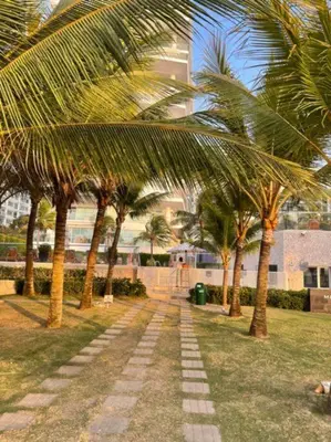 a row of palm trees in a park with a pathway at Cartagena- Apto con acceso y vista al mar Morros Ultra in Cartagena de Indias