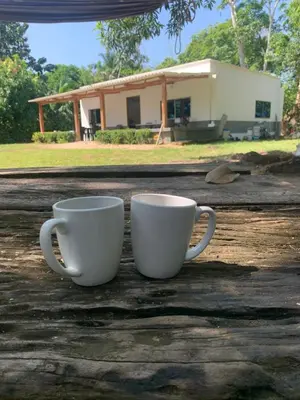 two white coffee cups sitting on top of a table at San Antero Cabaña de Oro in San Antero