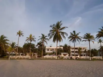 a view of a beach with palm trees and a building at Apartamento frente al mar mejor playa en Coveñas in Coveñas