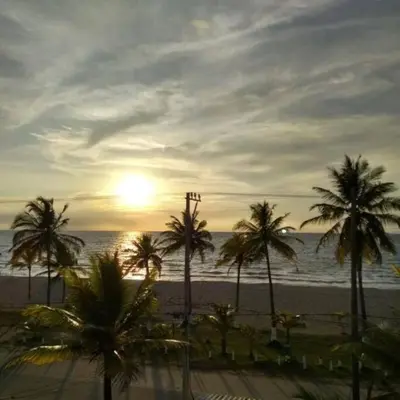 a group of palm trees on a beach with the ocean at Apartamento frente al mar mejor playa en Coveñas in Coveñas