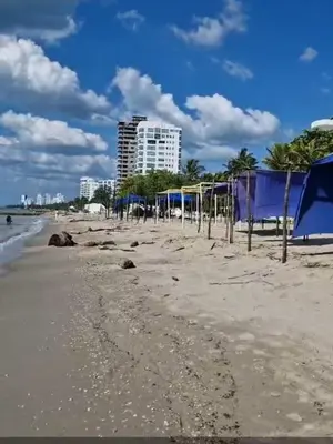 a beach with blue umbrellas on the sand at Hermoso Apartamento en Caribe Campestre in Coveñas