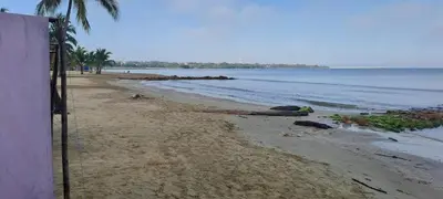 a sandy beach with palm trees and the ocean at Don Mathias # 1, Coveñas - Apartamento in Coveñas