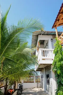a palm tree in front of a white building at Cabañas en San Antero Bambumar3 in San Antero