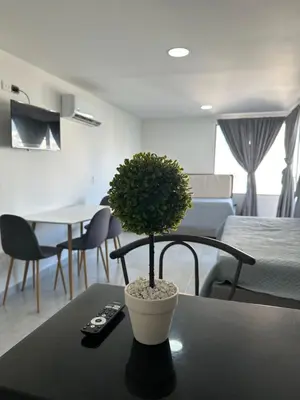 a potted plant sitting on a table in a living room at Hermoso Apartamento vista al mar El Laguito in Cartagena de Indias