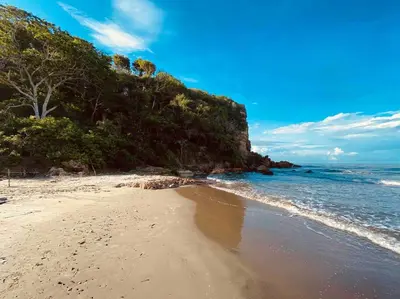 a sandy beach with trees and the ocean at ¡Wonderful Beach Loft! in Cartagena de Indias