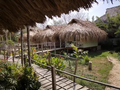 a group of huts with grass umbrellas at Cabañas La Múcura in San Onofre