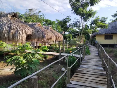 a wooden path leading to a village with thatched huts at Cabañas La Múcura in San Onofre