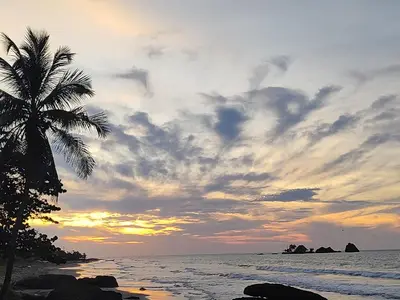 a palm tree on the beach with a sunset at La Casa del Mar - Hotel Familiar en San Bernardo del Viento in San Bernardo del Viento