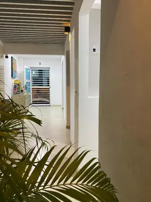 a hallway of a house with a plant at Guakmaya hostel in Cartagena de Indias
