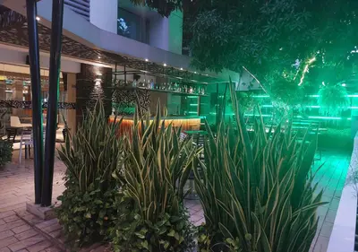 a group of plants in front of a building at Washington Plaza in Barranquilla