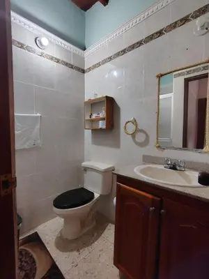 a bathroom with a toilet and a sink and a mirror at Casa Hostal La Vie en Rose in Cartagena de Indias