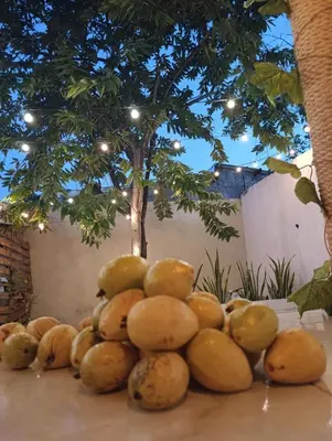 a pile of fruit on a table under a tree at Casa vacacional, cerca del aeropuerto in Cartagena de Indias