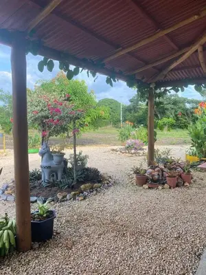 a patio with a bunch of potted plants under a pavilion at Cabañas Paulamar - Apto 4 - Tolú in Santiago