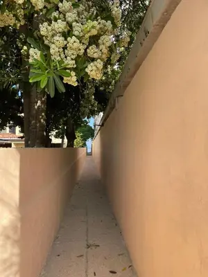 a concrete wall with a tree in the background at CABAÑA PLAYA MAR in Coveñas