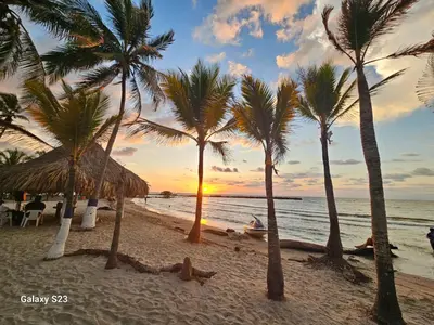 a group of palm trees on the beach at sunset at SiÉ Cabaña en Coveñas cerca a la playa in Coveñas