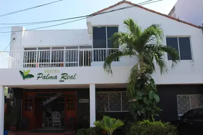 a palm tree in front of a white building at Hotel Palma Real Cartagena in Cartagena de Indias