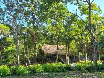 a person walking in front of a hut with trees at Pajarito Eco-Lodge frente al mar in Cedro
