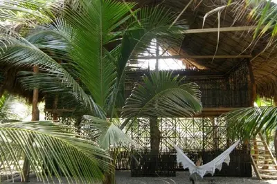 a room with palm trees and a building with a ceiling at Pajarito Eco-Lodge frente al mar in Cedro
