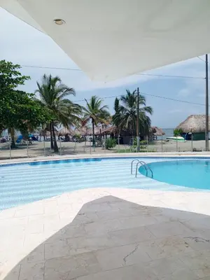 a large swimming pool with palm trees in the background at Apartamentos Mi Reserva OK - Fontaine Bleu in Coveñas