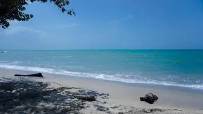a beach with rocks in the sand and the ocean at Cabaña La Pereztroica 2 in Puerto Viejo