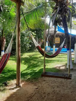 a couple of hammocks hanging from trees in a yard at KAZA Balcones in Santa Veronica