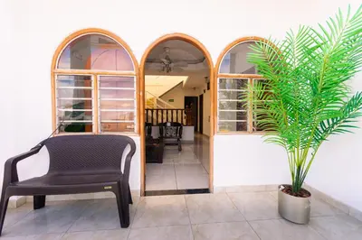 a chair and a palm tree in a room at Hotel Med Cartagena in Cartagena de Indias