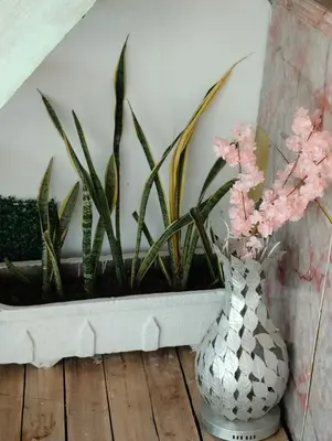 a vase with pink flowers sitting on a wooden floor at HOSTAL LAMAR BARU dónde Gertrudis in Playa Blanca