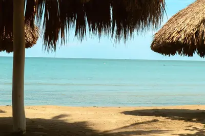 a beach with a straw umbrella and the ocean at Apartamento Villa Carolina 102 in Coveñas
