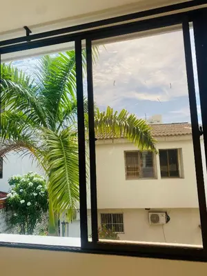 a window view of a palm tree and a building at Paraiso Pie de la Popa in Cartagena de Indias
