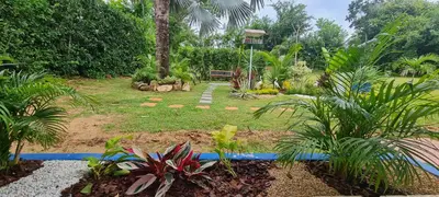 a garden with palm trees and a yard with plants at Mediterráneo Relax in San Antero