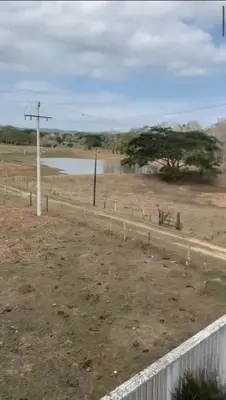 a fence in a field with a lake and a tree at Apartamento en Coveñas in Coveñas