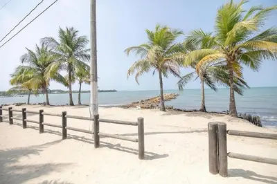 a beach with palm trees and the ocean at Cabana Mangle Playa Privada in San Antero