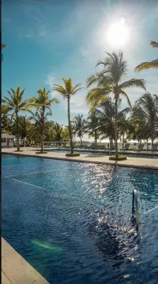a swimming pool with palm trees in a park at exclusivo edificio con piscina en primera linea de playa in Cartagena de Indias
