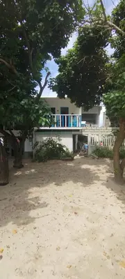 a house on the beach with trees in front of it at Casa Victoria in San Onofre