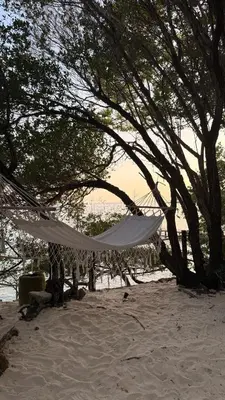 a hammock hanging from a tree on the beach at Casa Rosario in Isla Grande