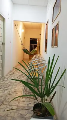 a plant in a pot in a hallway with chairs at Casa Esmeralda in Cartagena de Indias