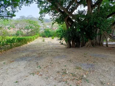 a dirt road next to a group of trees at campestre, naturaleza, confort, familiar in Turbaco