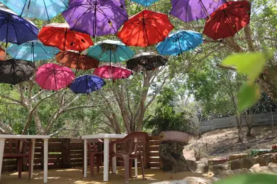 a bunch of colorful umbrellas hanging in the air at Restaurante y Ecohostal Casa Loma in Chorrera