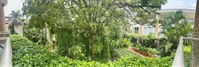 a garden with a tree and a building at Modern Comfort - Spacious 2BR in Walled City in Cartagena de Indias