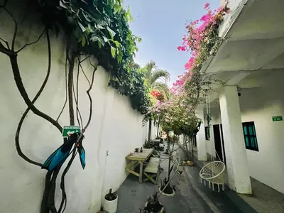 an alley with plants on the side of a building at Casa Torices Real 12 in Cartagena de Indias