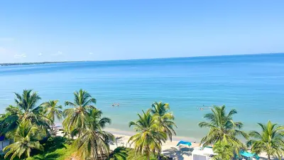a view of a beach with palm trees and the ocean at Magico Apartamento Frente al Mar 3 Habitaciones TR51 in Coveñas