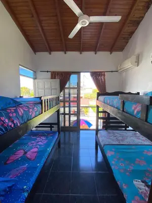a room with two bunk beds and a ceiling fan at Cabaña Tolu in Santiago