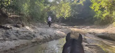 a man riding a horse through a river at Alquiler de caballos y cabalgatas por el Atlántico in Baranoa