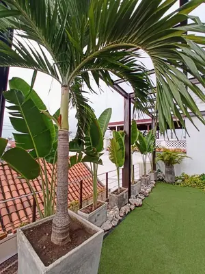 Gallery image of Habitación en Getsemaní POD A in Cartagena de Indias