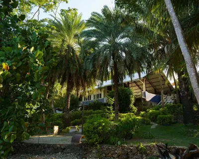 a building with palm trees in front of it at Hotel Fuerte Mayal in Isla Fuerte