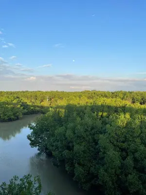 an aerial view of a river with trees at Eco Hotel Laguna Beach - Bloque 8 Suite 101 in San Silvestre