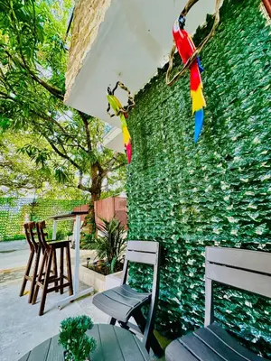 a patio with chairs and a green wall at Glamping Arena in El Porvenir