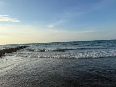 two people are swimming in the ocean at Playa y selva in Puerto Viejo