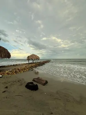 a beach with two straw umbrellas and the ocean at Playa y selva in Puerto Viejo